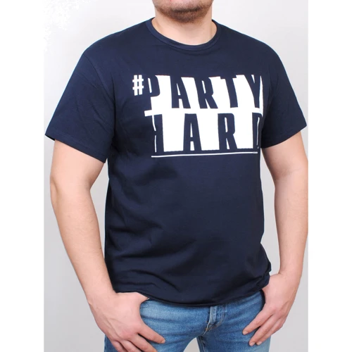 Футболка PFProject BIG PARTY 5XL синя з принтом: Вид футболки