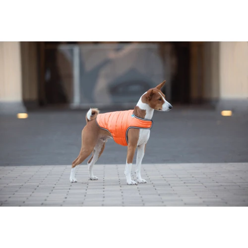 Курточка-накидка для собак AiryVest S B 41-51 см С 25-35 см оранжевая (15424) фото 7