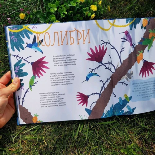 Євгенія Гюнтер: Як сплять звірята?: Виробник Пешком в историю
