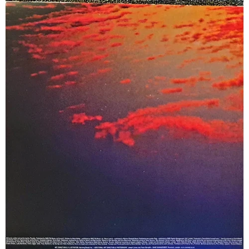 LP I-DI Placebo: Battle For The Sun (LP0135) фото 5