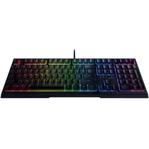Клавіатура Razer Ornata V2 (RZ03-03380700-R3R1): Тип клавіатури ігрова