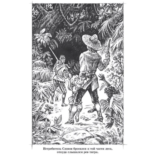 Елі Берті: Дитя лісів: ISBN 978-5-91921-516-5