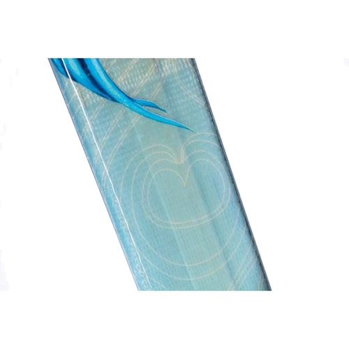 Лыжи Rossignol Sassy 7 OPEN + SAPHIR 110 L (2012/2013): Радиус 19.3 м