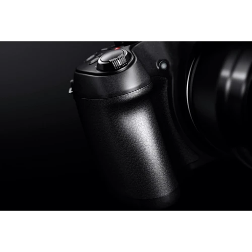 Panasonic Lumix DC-FZ82 Black UA фото 9
