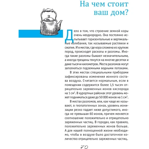 Елизавета Залесская: Энергия вашего дома. Защита, гармония, благополучие: Обложка Твердая