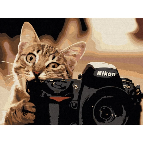 Картина за номерами Art Craft Пухнастий фотограф 40х50 см (11608-AC)