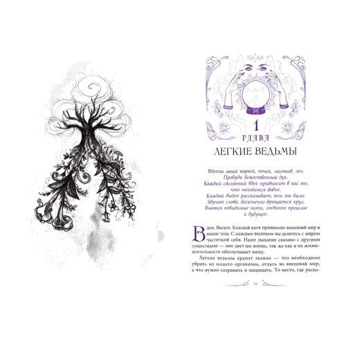 Лаура Темпест Закрофф: Анатомия ведьмы. Карта магического тела: Количество страниц 272