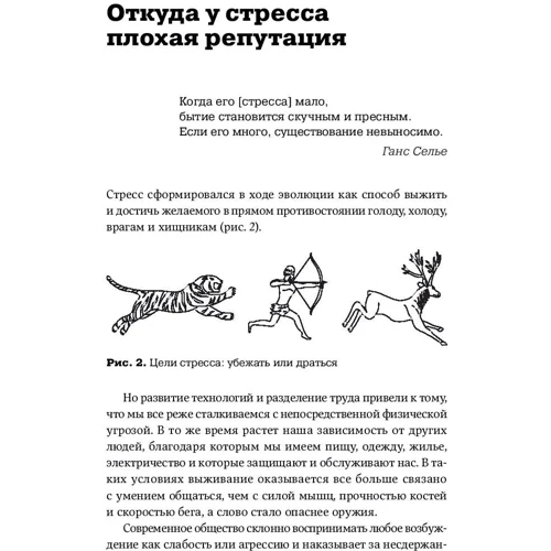 Іван Кирилов: Стрес-серфінг. Як перестати боятися стресу і звернути його собі на користь фото 7