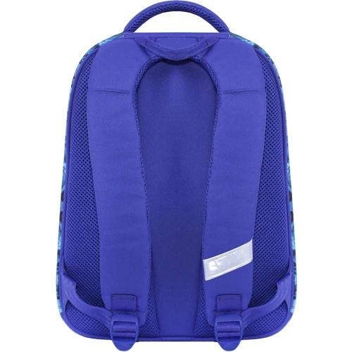Рюкзак школьный Bagland Turtle 555 синий (0013466): Тип Для средней школы