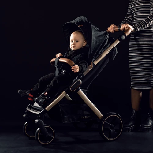 Прогулочная коляска El Camino Dynamic Pro Special Black (ME 1053G-2 Special Black) фото 16