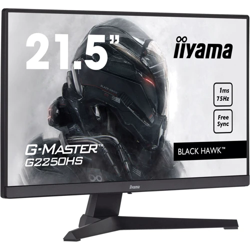 Монитор iiyama G2250HS-B1: Покрытие экрана матовое