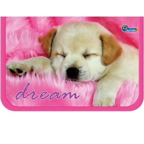 Пенал Josef Otten 19273, 1 отд., 1 отворот, Dream