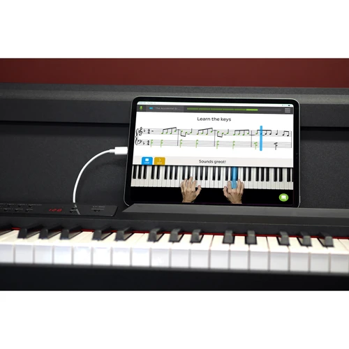Цифровое пианино KORG LP-380-BK U: Тип клавиатуры Молоточковая