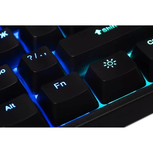 Клавиатура Defender Blitz GK-240L USB Black (45240): Тип клавиш механический