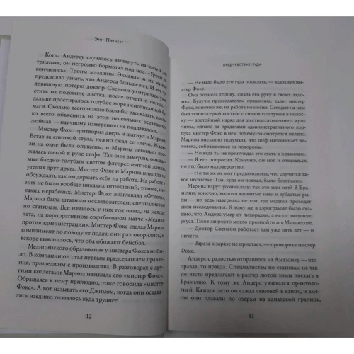 Предчувствие чуда. Пэтчетт Энн. Синдбад: Производитель Синдбад