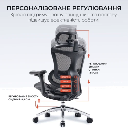 Офисное кресло Sihoo DORO C300L Mesh Black (DORO-C300L-A3-101)