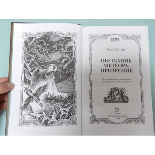 Эрин Хантер: Коты-воители. Обещание Метеора. Книга 2. Прозрение: Обложка Твердая