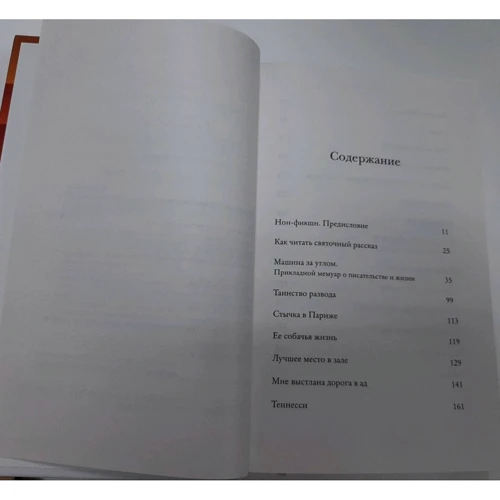 Энн Пэтчетт: Это история счастливого брака: Количество страниц 480