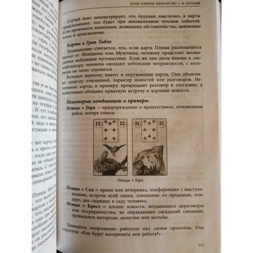 Рана Джордж: Полное руководство по картам Ленорман: Количество страниц 384