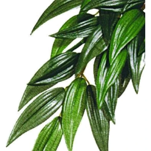 Растение шелковое Hagen Rucus Large (015561230513)