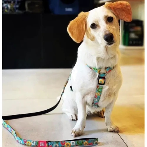 Поводок короткий для собак Max & Molly Short Leash - Donuts L (4894512016262): Длина 1.2 м