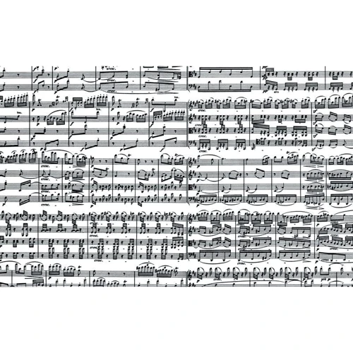 Пазл Piatnik Музыкальные ноты 1000 элементов (PT-543449): Производитель Piatnik
