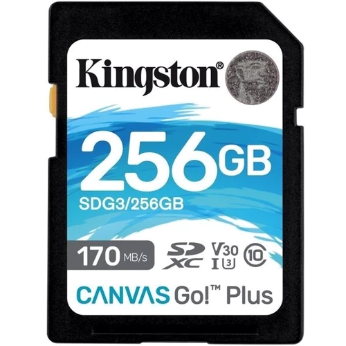 Карта пам'яті Kingston 256GB SDXC class 10 UHS-I U3 Canvas Go Plus (SDG3/256GB)