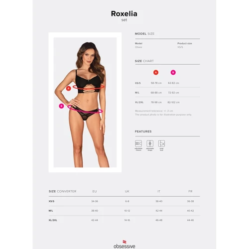 Комплект Obsessive Roxelia 2-pcs set XL/2XL