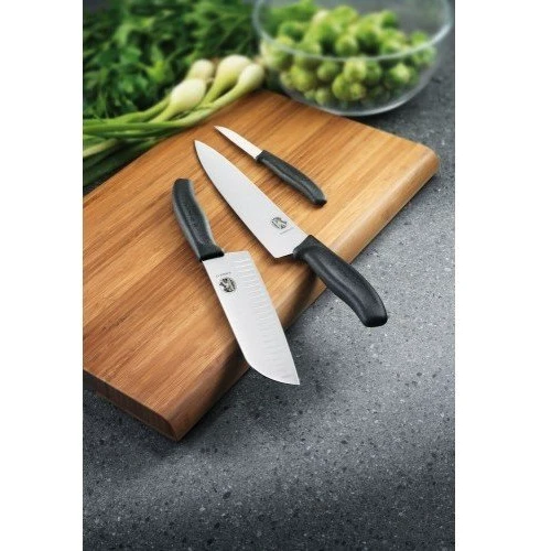 Нож Victorinox Swiss Classic Carving Knife разделочный 19 см 6.8003.19G: Особенности Эргономичность