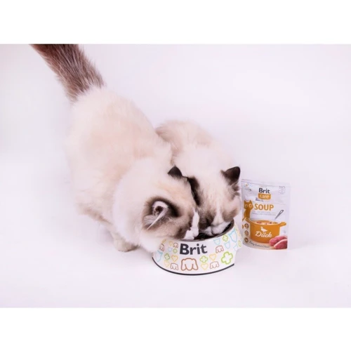 Влажный корм Brit Care Soup Duck для котов суп утка 75 г х 15 шт (2700000048214): Класс Супер премиум