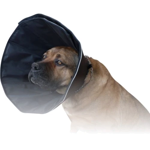 Комір нейлоновий Collar Dog Extremе щільний №3 А: 32-38 см У: 15.5 см лабрадор доберман (1504): Виробник Collar