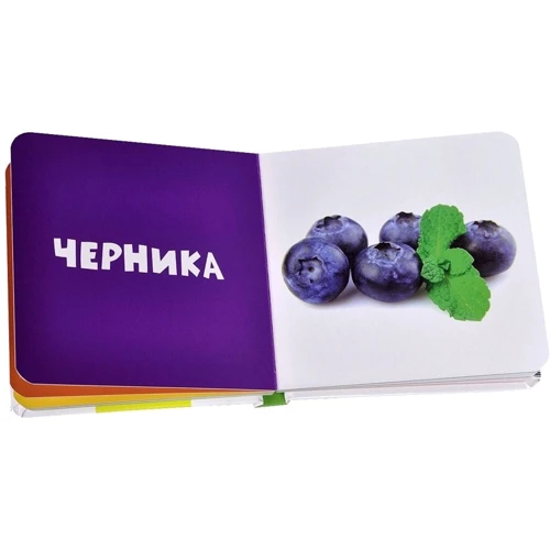 Мои первые слова. Фото-книга. Фрукты: Обложка Твердая