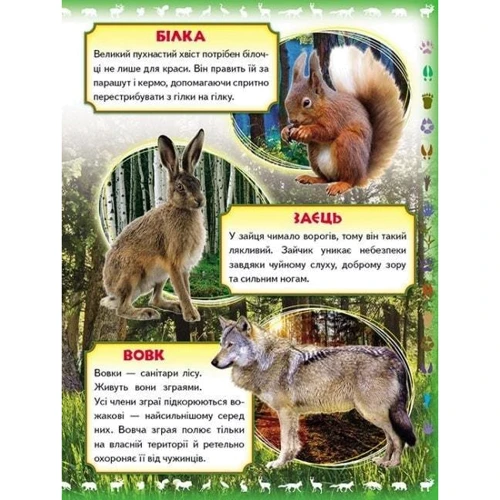 Моя перша книжка. Про диких тварин: ISBN 978-966-913-531-5