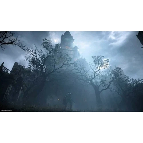 Demons Souls Remake (PS5): Серия приставки PlayStation 5