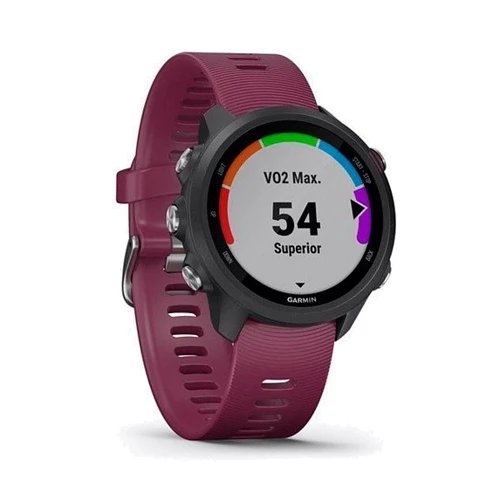 Смарт-часы Garmin Forerunner 245 Black/Wine Red: Производитель Garmin