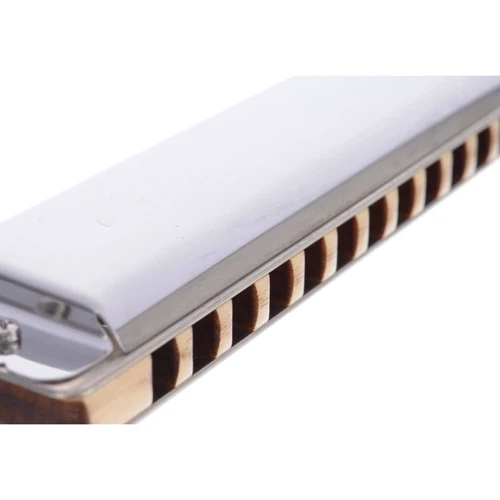 Губная гармоника SEYDEL SOLIST PRO 12 Steel C-major (11601C)