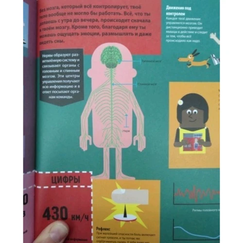 Цікава інфографіка: ISBN 978-5-699-96111-5