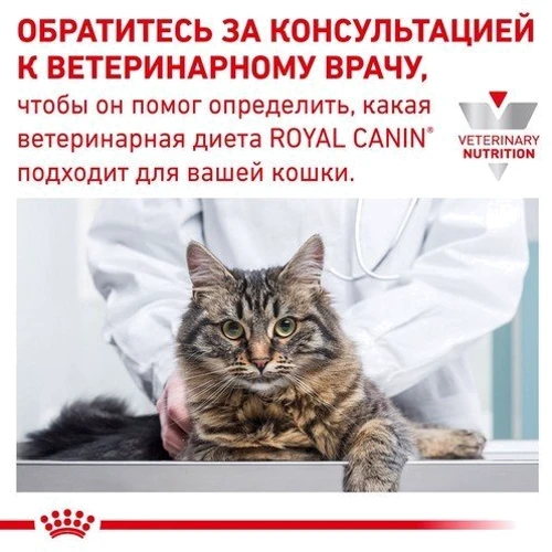 Влажный корм Royal Canin Diabetic Feline для котов с диабетом 85 г (40850011): Порода Все породы