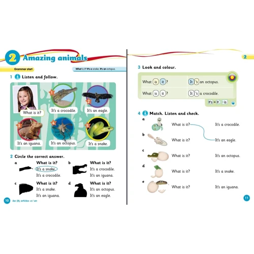 Grammar Goals 1: Pupil's Book with Grammar Workout CD-ROM: ISBN 219 x 276 x 6