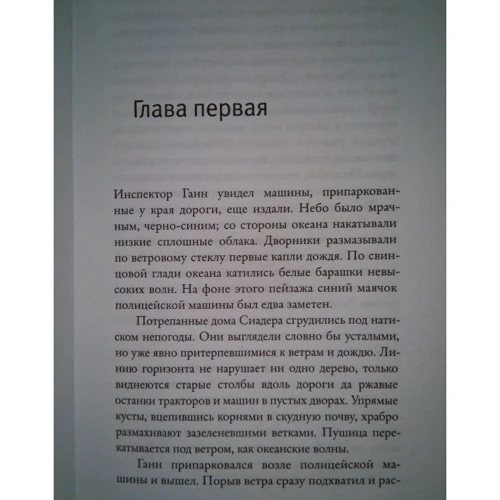Людина з острова Льюїс: Кількість сторінок 416