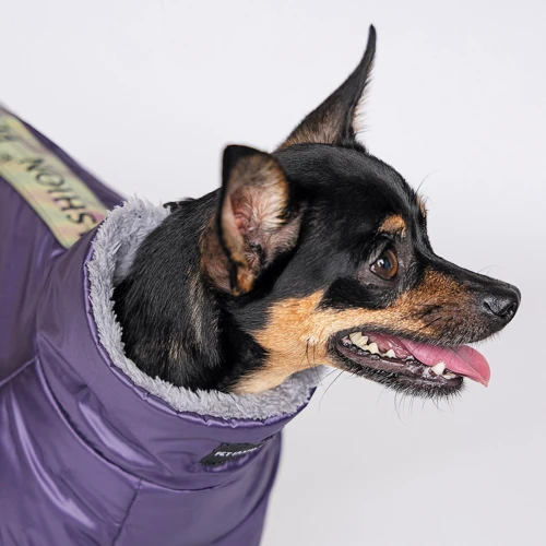 Комбинезон для собак Pet Fashion GLORY S фиолетовый: Размер S