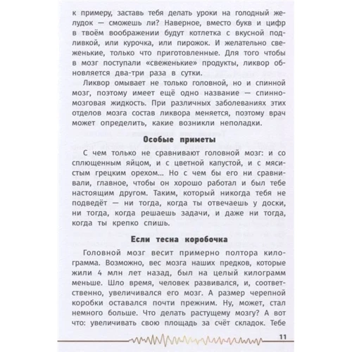 Алла Озорнина: Не просто серое вещество! Изучи свой мозг и включи его!: Количество страниц 144