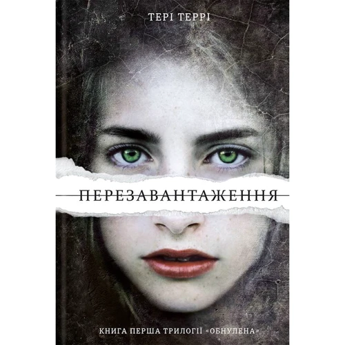 Тері Террі. Перезавантаження