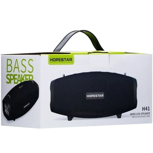 Акустика Hopestar H41 Black: Тип портативная