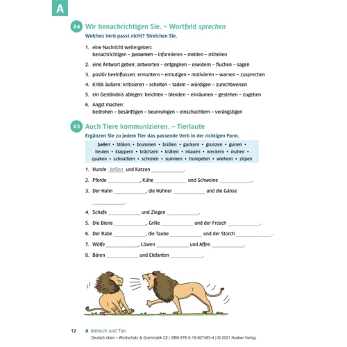 Deutsch üben: Wortschatz und Grammatik C2: Обложка Мягкая