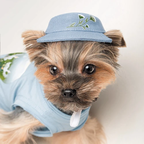 Панама Pet Fashion Blue S (4823082434237): Тип Панамы