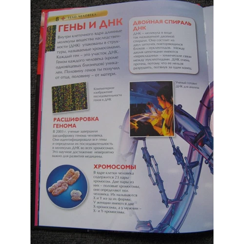 Тіло людини. Дитяча енциклопедія: Обкладинка Тверда