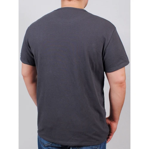 Футболка PFProject BIGDENIMBROK 4XL сіра з принтом: Сезон літо