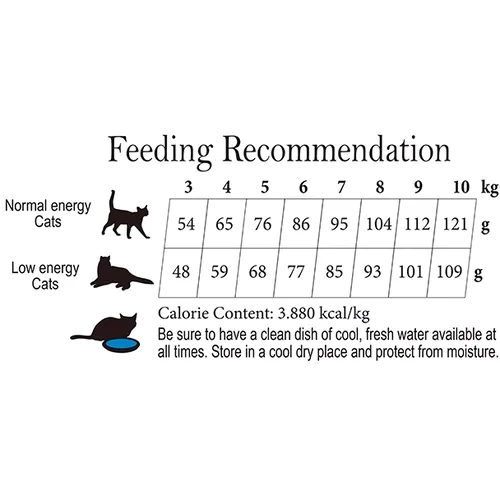 Сухой корм Cherie Dry Food Strong Muscle & Joint- Adult Turkey Entrees для кошек с индейкой поддержание здоровья мышц и суставов 0.4 кг (602214): Возраст Взрослые