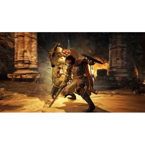 Dragon's Dogma Dark Arisen (PS4): Серия приставки PlayStation 4